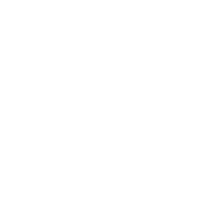 skoda-auto